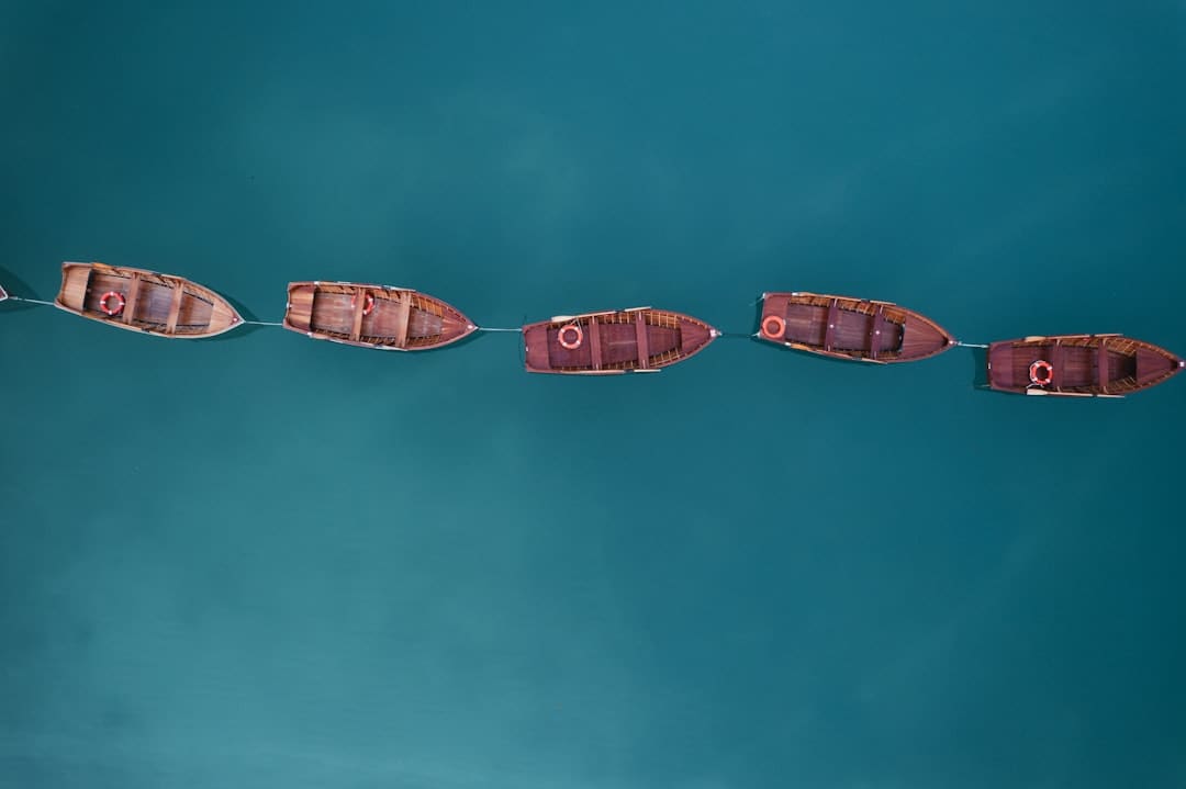 新同学，与“智能原生”同行